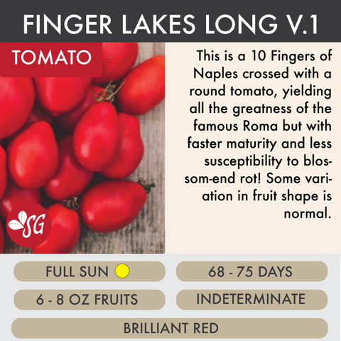 Finger Lakes Long - Tomato Plant Pre-Order 2026