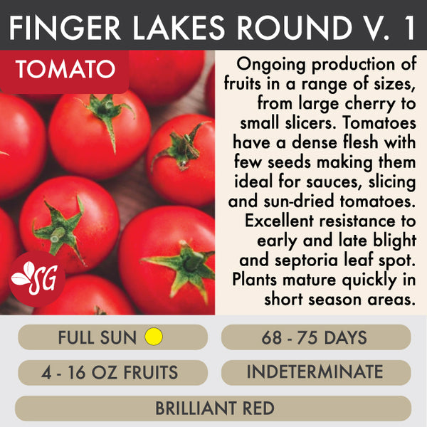 Finger Lakes Round Paste - Tomato Plant Pre-Order 2026