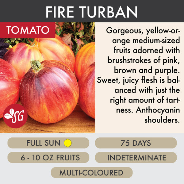 Fire Turban - Tomato Plant Pre-Order 2026