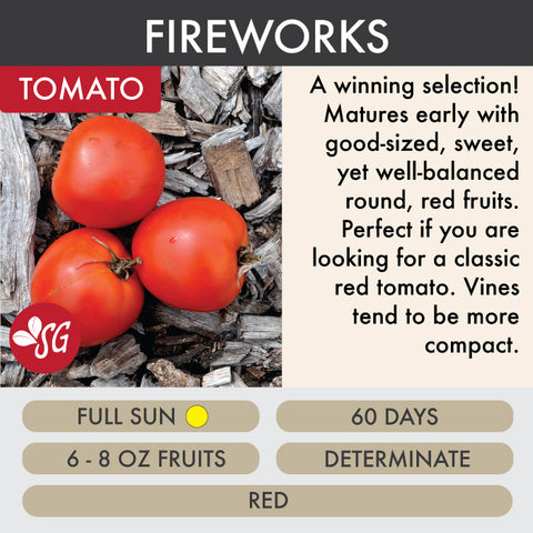 Fireworks - Tomato Plant Pre-Order 2026