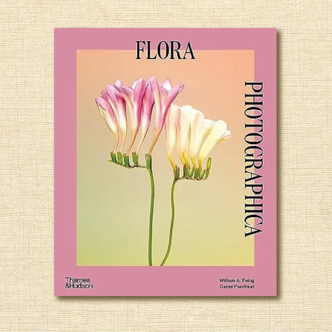 Flora Photographica: The Flower in Contemporary Photography