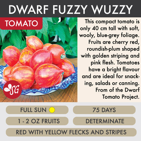 Fuzzy Wuzzy - Tomato Plant Pre-Order 2026