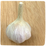 Bulbs - Garlic, Crystal White Variegated (Certified Organic) - PREORDER
