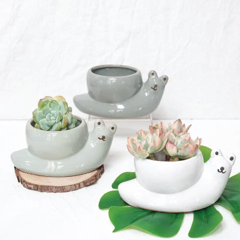 Ceramic Planter (with Drainage Hole) - Snail - Assorted Colours