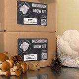 Mushroom Growing Kit (indoor) - White Oyster