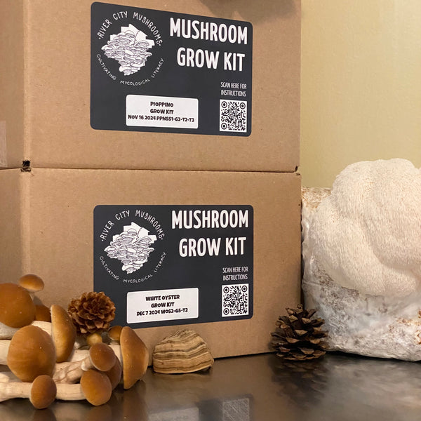 Mushroom Growing Kit (indoor) - Chestnut