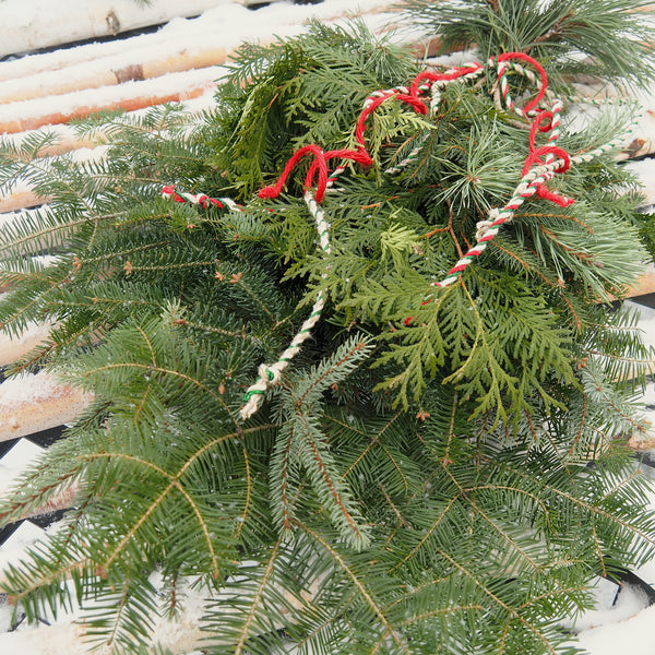 Bundle - Holiday Greenery - LOCALLY HARVESTED