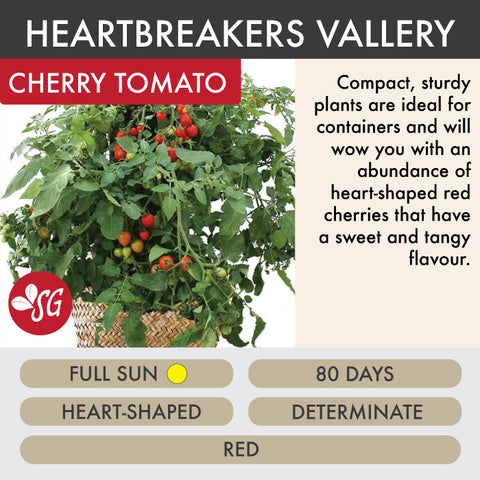 Heartbreakers Vallery Red - Tomato Plant Pre-Order 2026