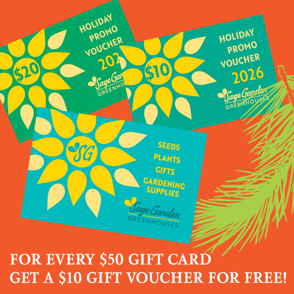 Holiday Gift Certificates with BONUS!