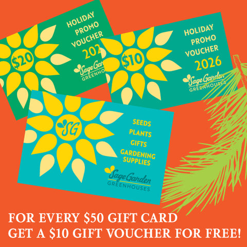 Holiday Gift Certificates with BONUS!