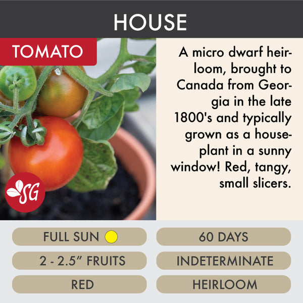 House - Tomato Plant Pre-Order 2026