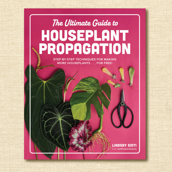 The Ultimate Guide to Houseplant Propagation