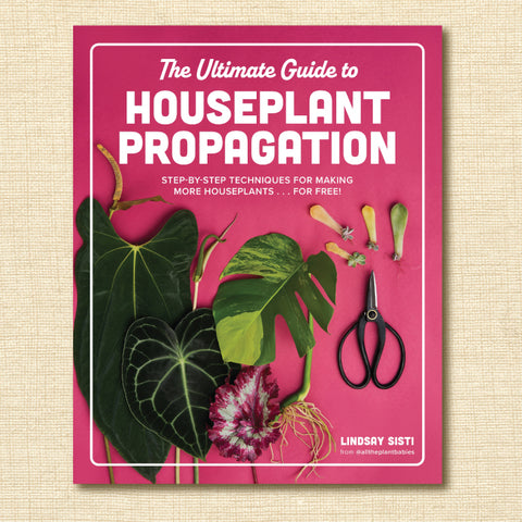 The Ultimate Guide to Houseplant Propagation