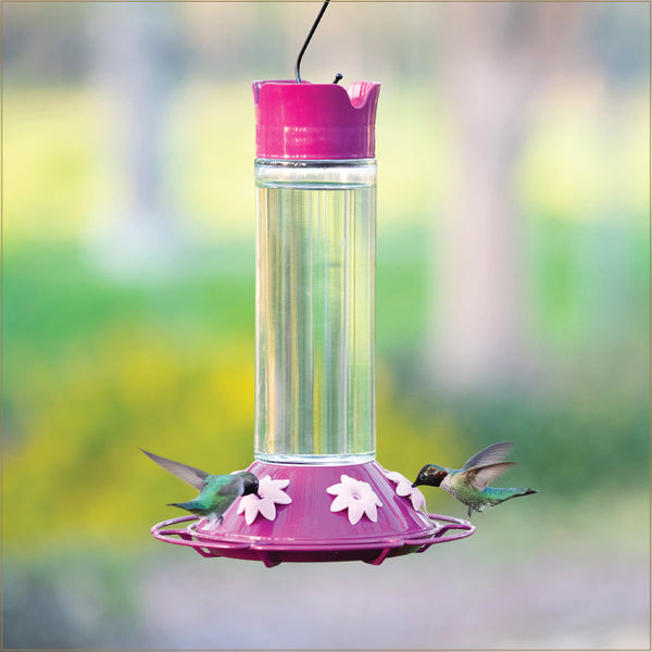 Glass Hummingbird Feeder 30 oz - Pink