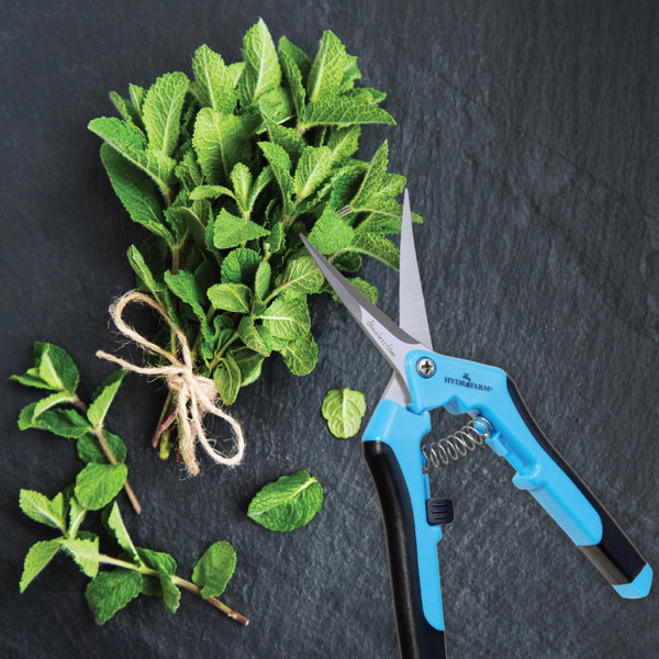 Microtip Precision Pruner - Curved Stainless