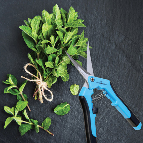 Microtip Precision Pruner - Curved Stainless