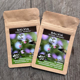 Seeds - Salvia, Coral Nymph OG (SGH)