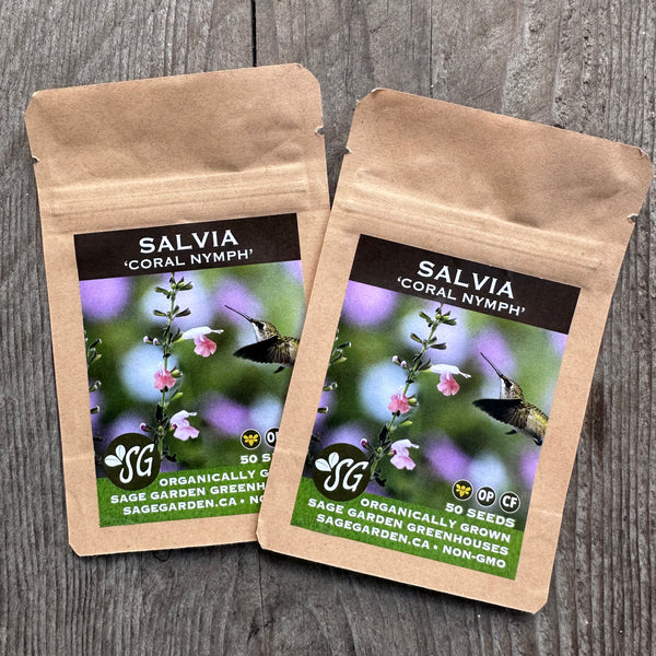 Seeds - Salvia, Coral Nymph OG (SGH)
