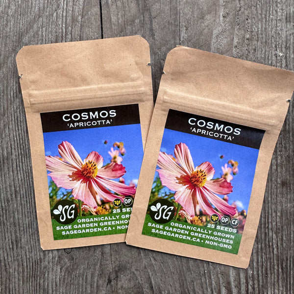 Seeds - Cosmos, Apricotta OG (SGH)
