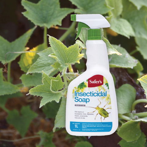 Safer's® Insecticidal Soap - Ready to Use - 1 L