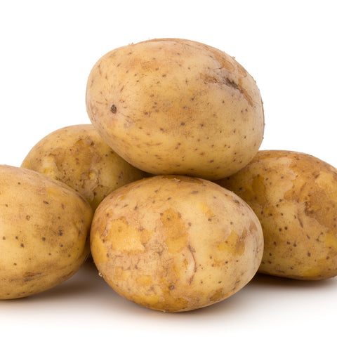 Seed Potato - Irish Cobbler (Certified Organic)