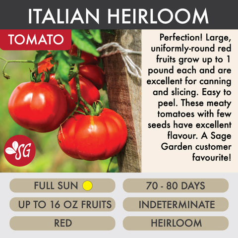 Italian Heirloom - Tomato Plant Pre-Order 2026