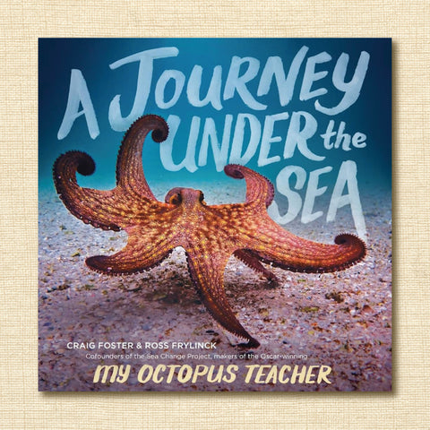 A Journey Under the Sea