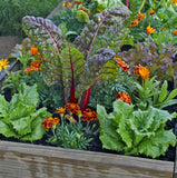 Workshop - Kitchen Garden Planner  (Saturday, February 8, 2025 - 1:00 pm)