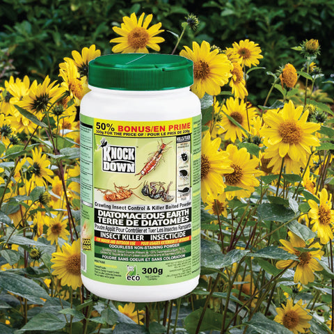 Crawling Insect Premium Diatomaceous Earth 300g