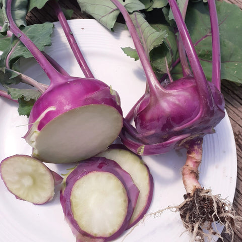 Kohlrabi, Azur Star (Certified Organic Seeds)