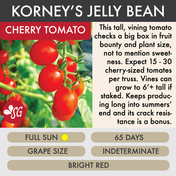 Korney's Jelly Bean - Tomato Plant Pre-Order 2026