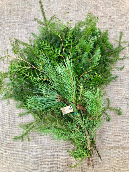 Bundles - Holiday Greenery - LOCALLY HARVESTED