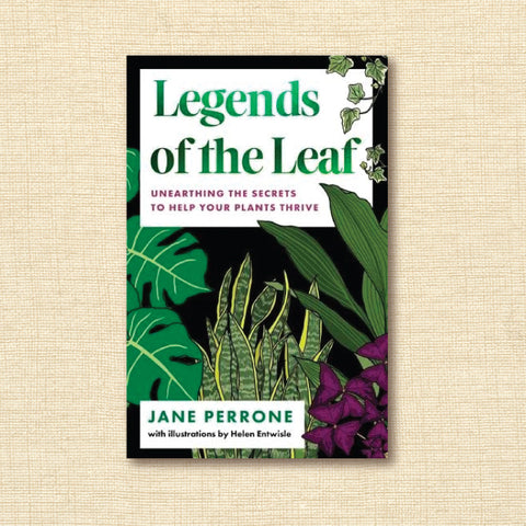 Legends of the Leaf: Unearthing the secrets to help your plants thrive