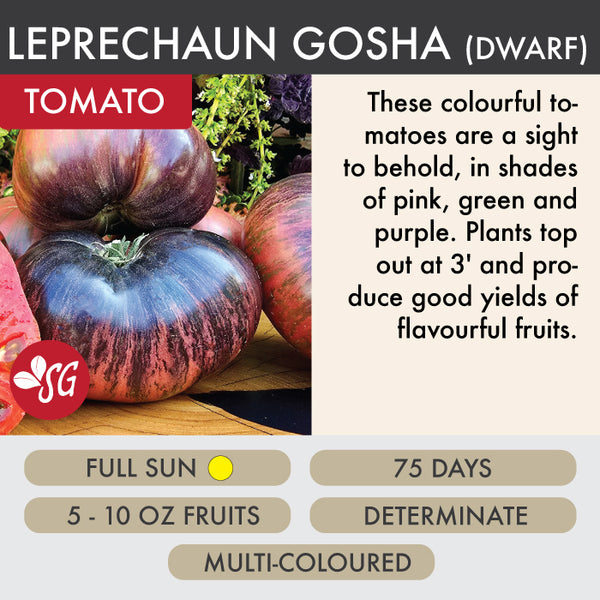 Leprechaun Gosha Dwarf - Tomato Plant Pre-Order 2026