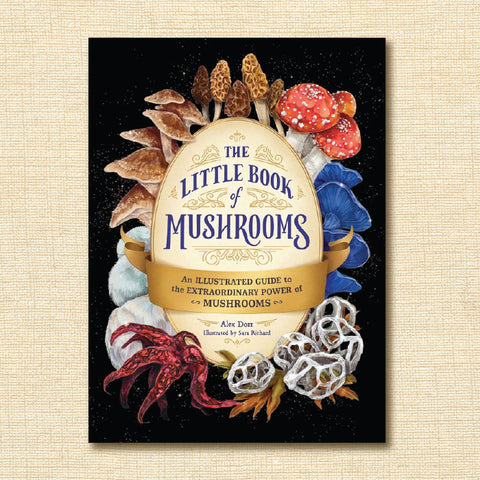 The Little Book of Mushrooms: An Illustrated Guide to the Extraordinary Power of Mushrooms