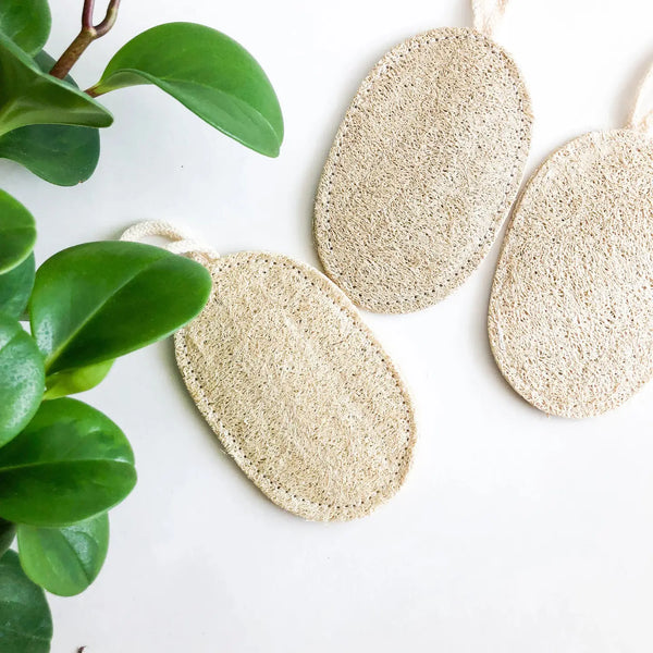 Loofah Dishwashing Sponges