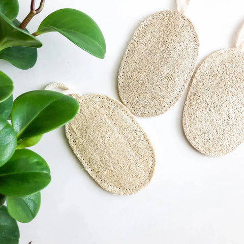 Loofah Dishwashing Sponges