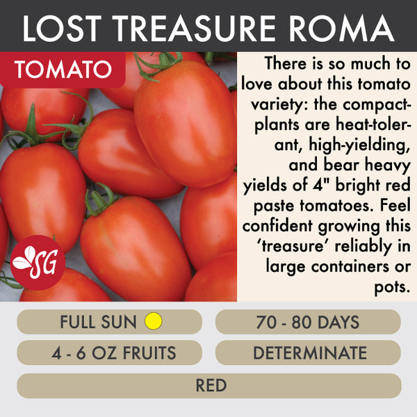 Lost Treasure Roma - Tomato Plant Pre-Order 2026