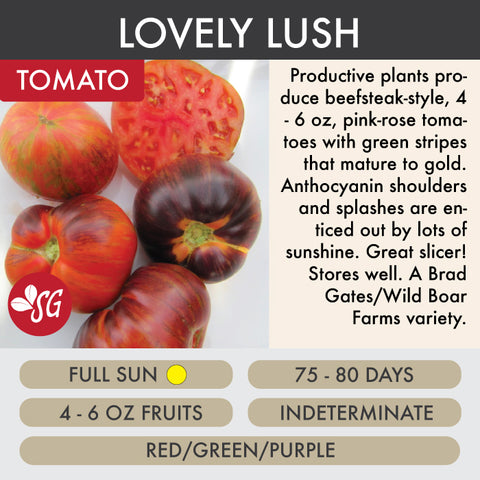 Lovely Lush - Tomato Plant Pre-Order 2026