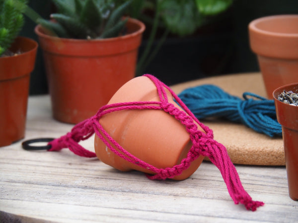 Mini-Macrame with Succulent Workshop - Sunday, December 14, 2025 - 12:30 pm