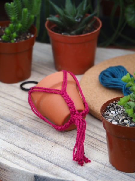 Mini-Macrame with Succulent Workshop - Sunday, December 14, 2025 - 12:30 pm