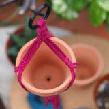Mini-Macrame with Succulent Workshop - Sunday, December 14, 2025 - 12:30 pm