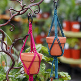 Mini-Macrame with Succulent Workshop - Sunday, December 14, 2025 - 12:30 pm