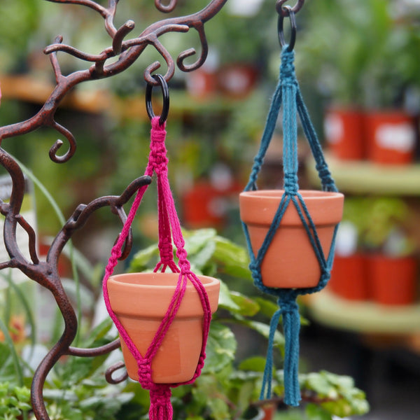 Mini-Macrame with Succulent Workshop - Sunday, December 14, 2025 - 12:30 pm
