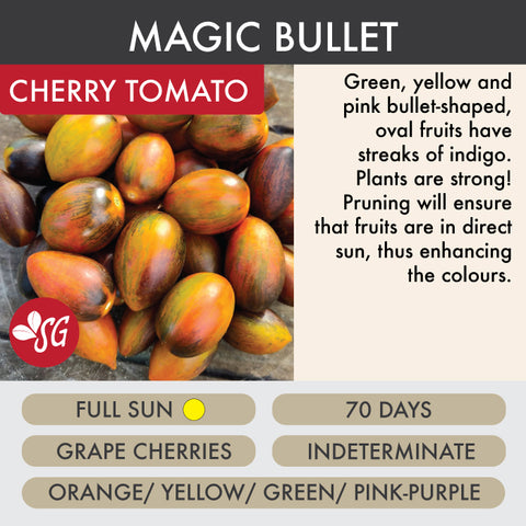 Magic Bullet - Tomato Plant Pre-Order 2026