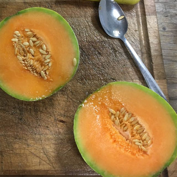 Melon, Oka  (Certified Organic Seeds)