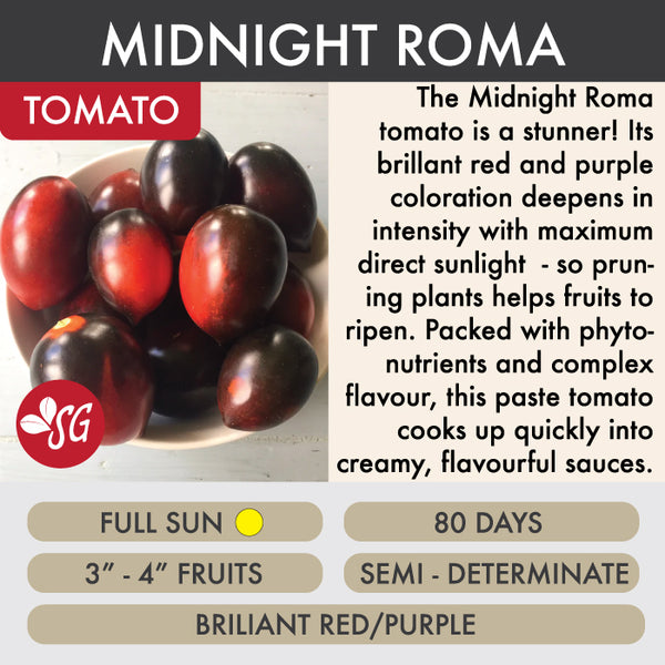 Midnight Roma - Tomato Plant Pre-Order 2026