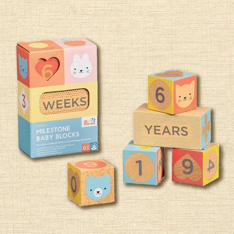 Milestone Baby Blocks