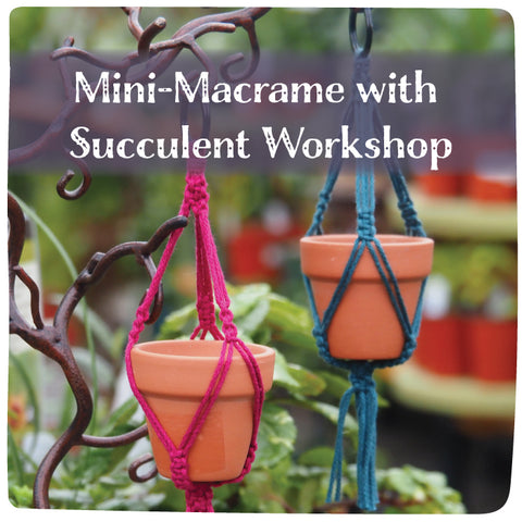 Mini-Macrame with Succulent Workshop - January 24, 2026 - 3:30 pm