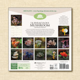 Miraculous Mushroom 2025 Wall Calendar